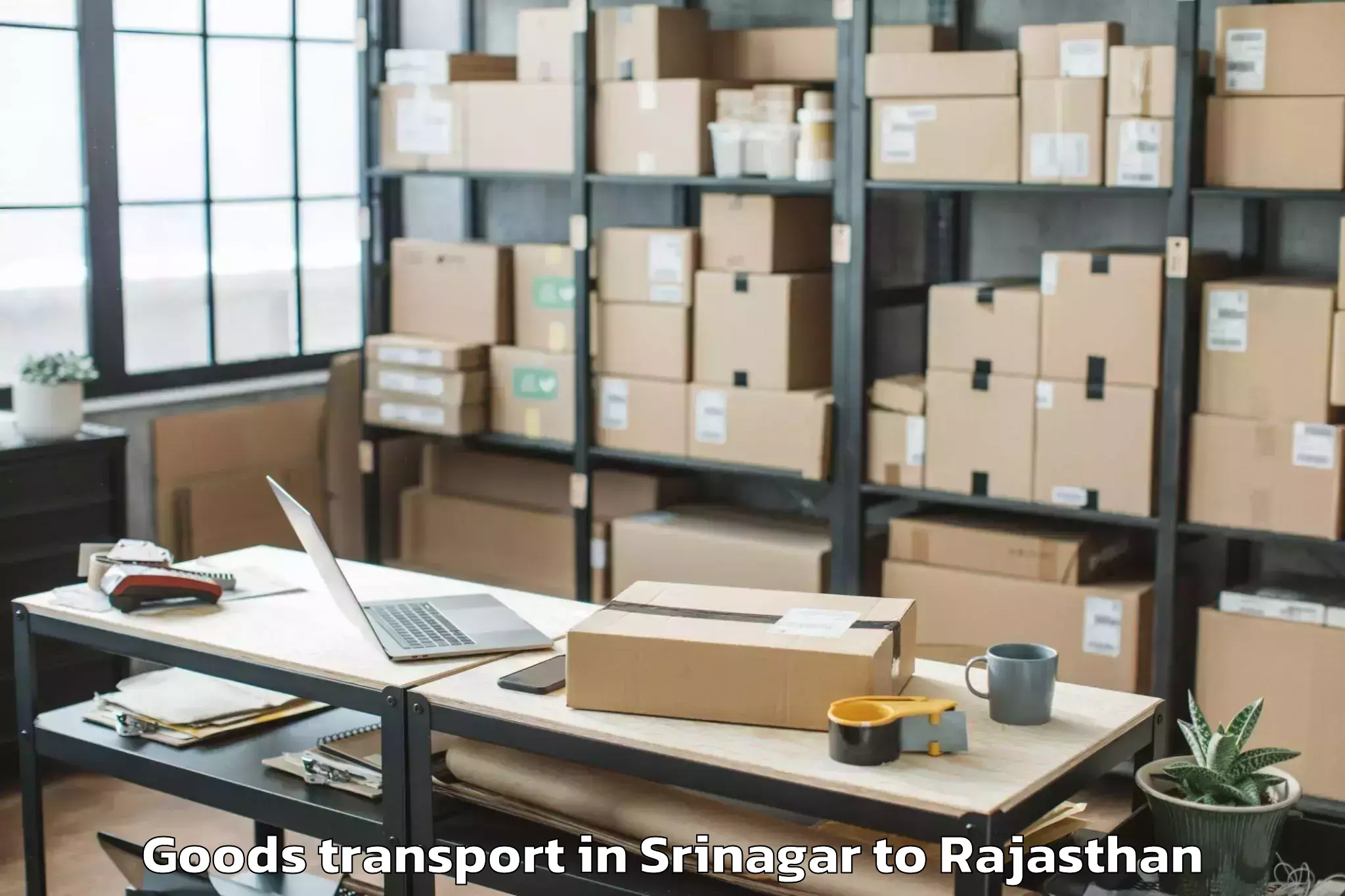 Affordable Srinagar to Geetanjali University Udaipur Goods Transport